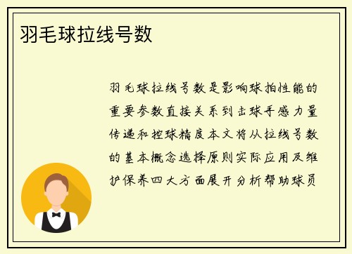 羽毛球拉线号数